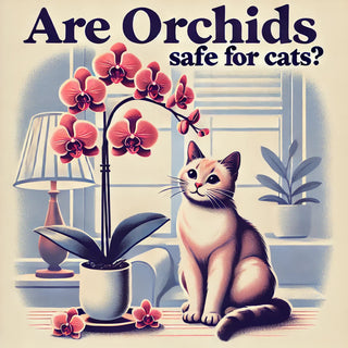 Are orchids safe for cats?