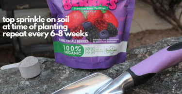 What is the best blueberry fertilizer?