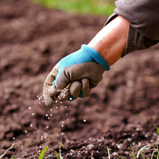 How do you fertilizer pepper plants?