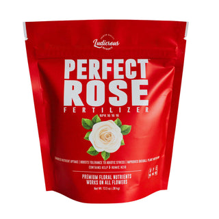 What is a good rose fertilizer?