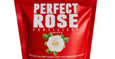 What is a good rose fertilizer?