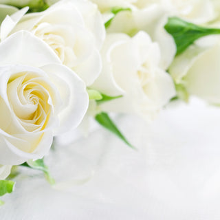 What does a white rose mean?