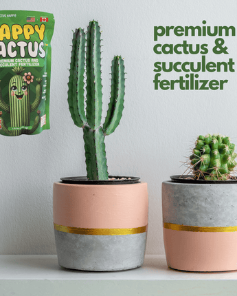 Happy Cactus Fertilizer – Low Nitrogen Fertilizer for Cactus Plant & Succulents – Bloom Booster with Calcium for Vibrant Growth – 2-5-5 NPK, 1.5 lbs for Indoor/Outdoor Use