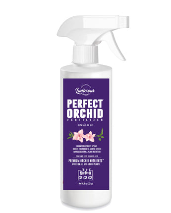 Perfect Orchid Liquid Mister - 8 oz